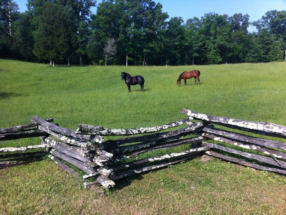 Oscar Blevins Farm, Big South Fork - 44